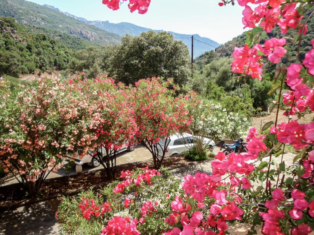 Cabannaccia-1 By Interhome * Serriera (Corsica)